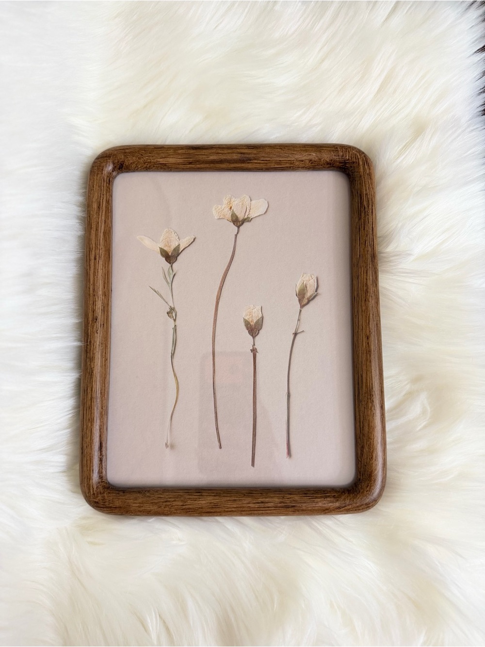 8x10 Neutral Floral Pressed Art in Brown Wood Frame